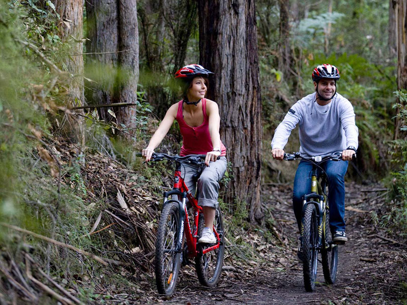 forrest-bike-riding