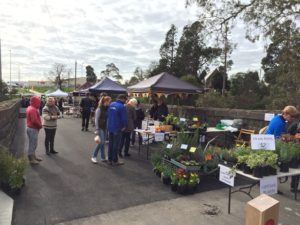 Whats on in the Otways - markets