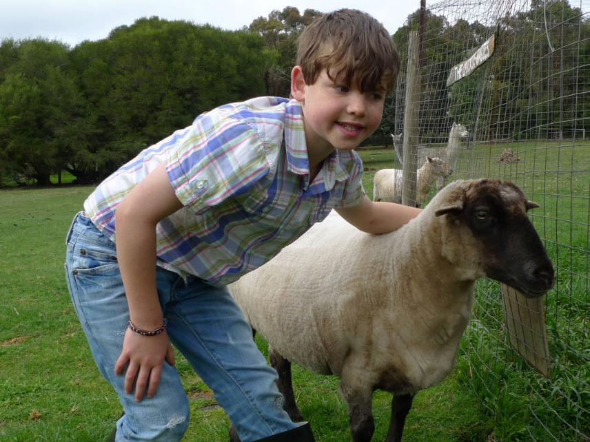 School holiday activities in the paddock