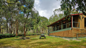 Canopy self contained cottage Lorne